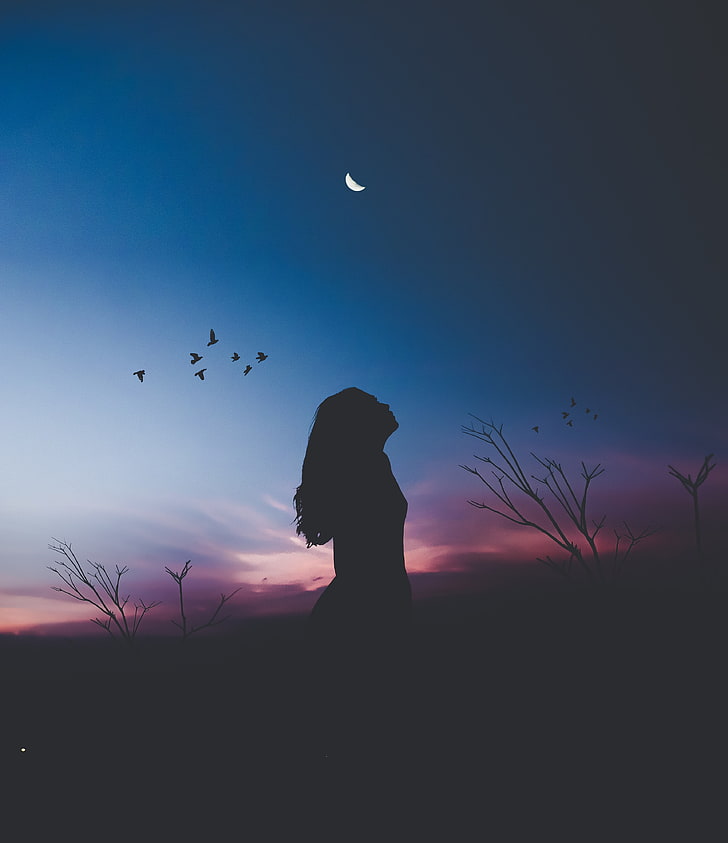 girl-silhouette-moon-birds-wallpaper-preview.jpg